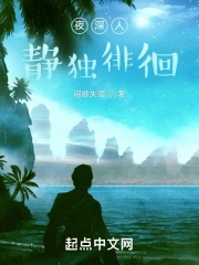 夜深人静独徘徊最火版