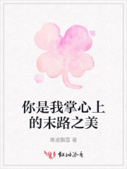 你是我掌中星全文免费阅读