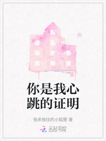 你是我心跳的证明