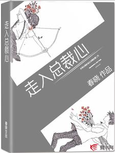 走入总裁心