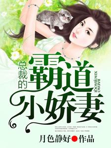 总裁的霸道小娇妻小说