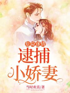 危险迷情：逮捕小娇妻