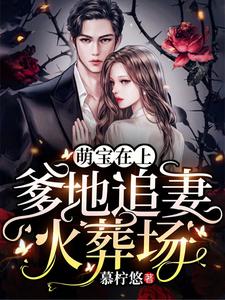 萌宝在上：爹地追妻火葬场