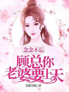 顾念念不忘顾念念