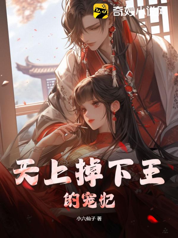 天上掉下王的宠妃