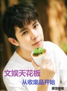 文娱大佬从配角开始崛起免费阅读