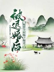 我嫁给了隔壁大佬