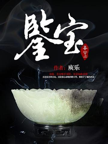 鉴宝庾乐_鉴宝小说免费全文阅读_傲轩小说网