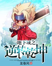 地下城与勇士逆转之轮小说