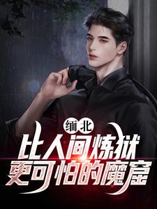 缅北地区指什么地方