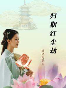归期不似江婉后续