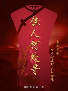 佳人何处寻完整版