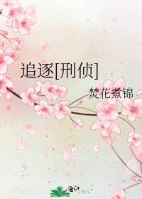 追逐谍战