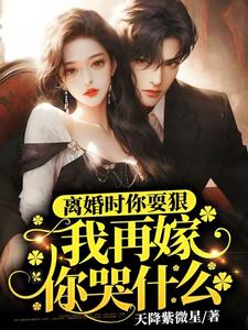 我再嫁你哭什么 小说