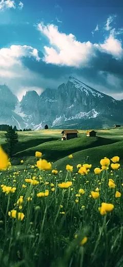 被侄子女朋友当成小三后我杀疯了