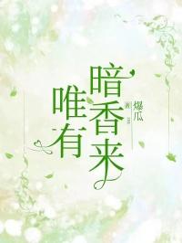唯有暗香来小说