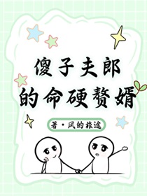 傻子夫郎的命硬赘婿