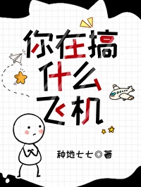 你在搞什么飞机