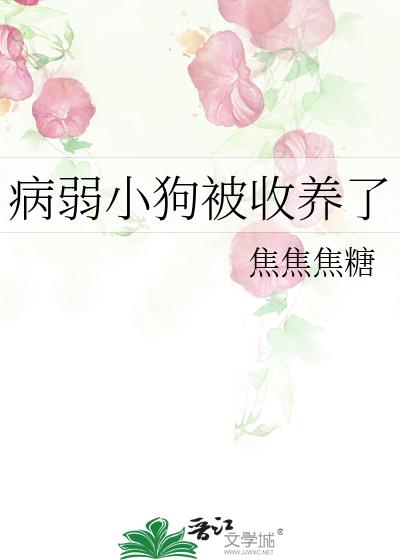病弱小狗被收养了