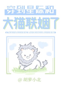 穿到星际和大猫联姻了
