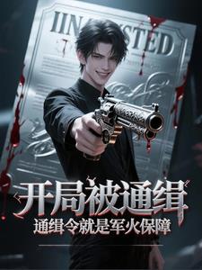 开局被通缉：通缉令就是军火保障