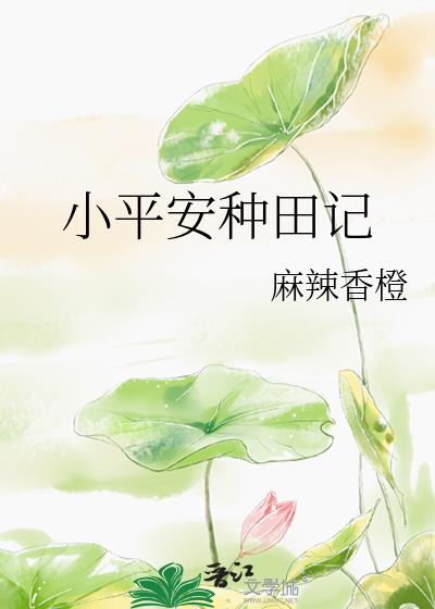 小平安种田记