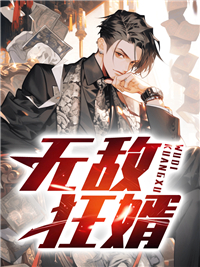 小说无敌狂婿
