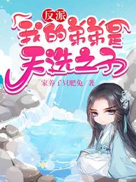 反派:我的弟弟是天选之子秦风秦昊小说