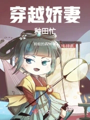 穿越小说娇妻如云
