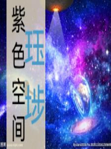 紫色空军毛衣