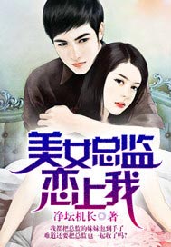 美女总监恋上我 净坛机长